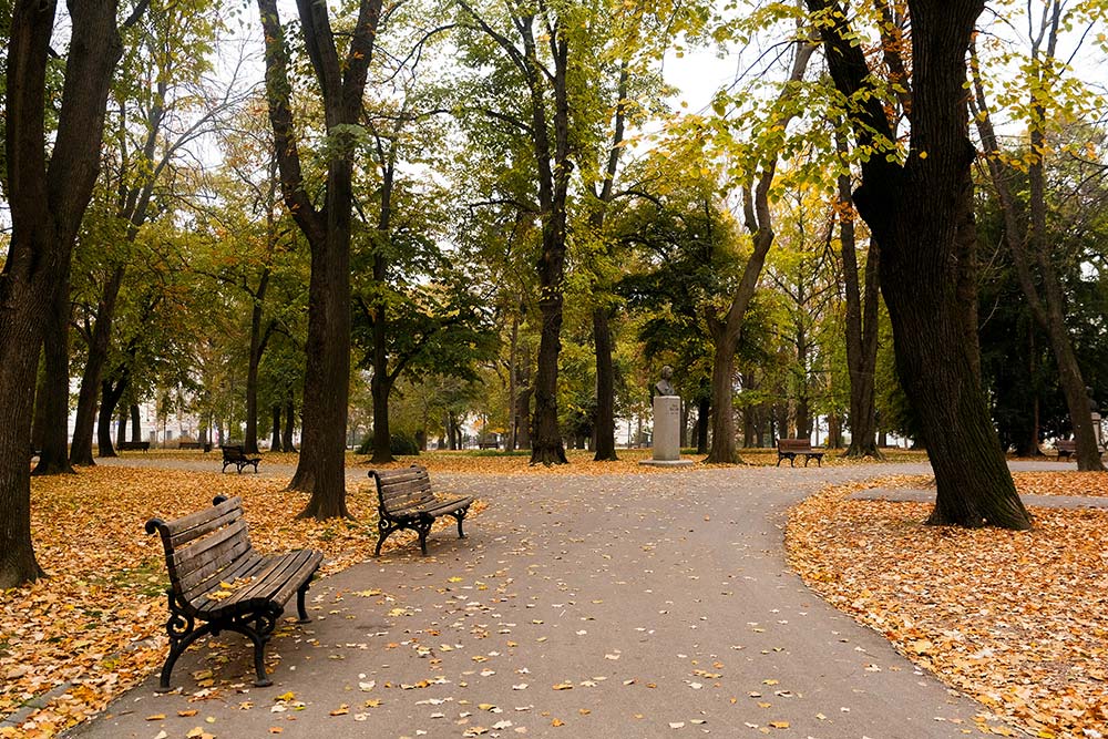 Two park benches sitting next to each other in a park.