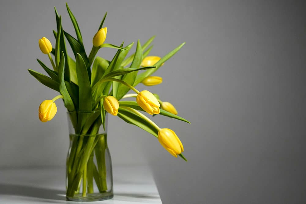 Vase filled with yellow flowers on a table
